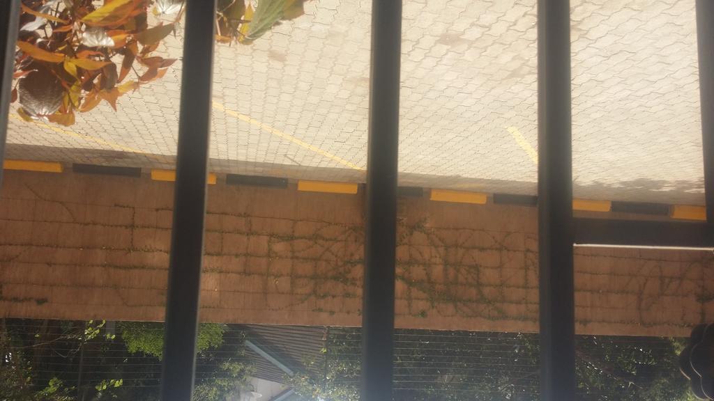 奈洛比Kilimani View公寓 客房 照片